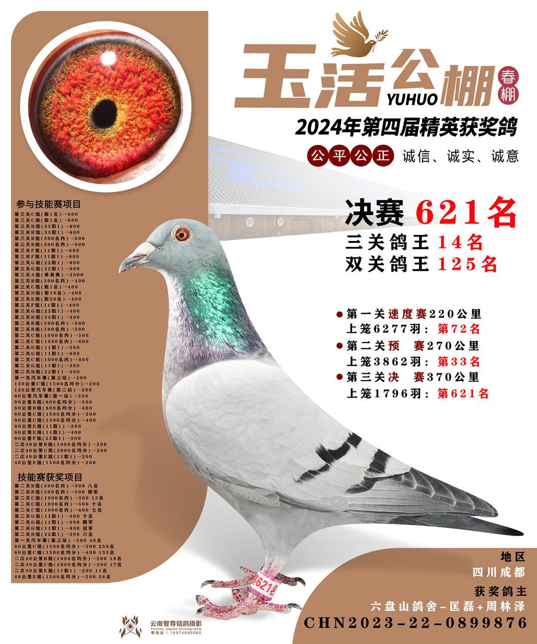 蜀翔变鸽公相春棚(2021四川蜀翔鸽王)